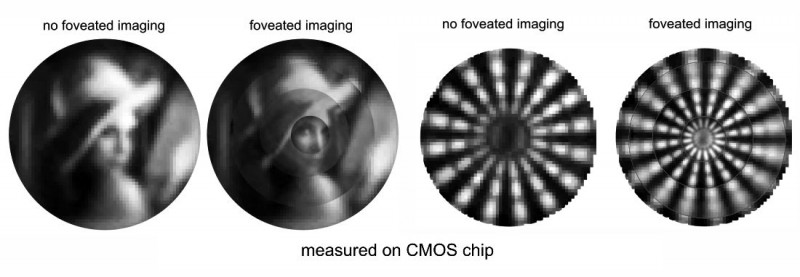 Foveated imaging example